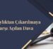 Subaylıktan Çıkarılmaya Karşı Açılan Dava