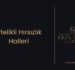 Nitelikli Hırsızlık Halleri – 2025