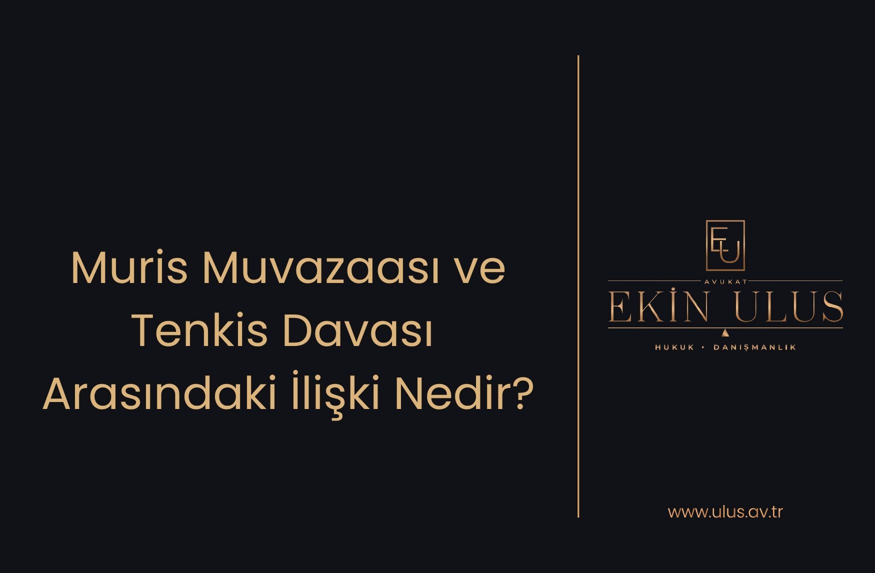 Muris Muvazaası ve Tenkis Davası Arasındaki İlişki Nedir?