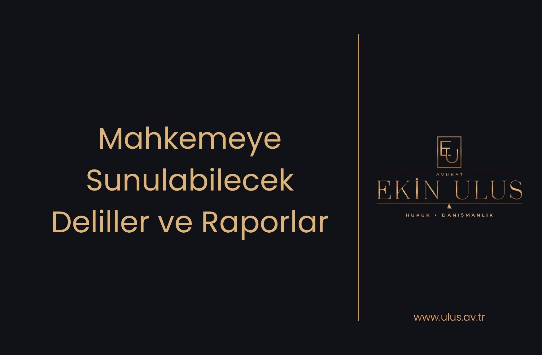 Mahkemeye Sunulabilecek Deliller ve Raporlar