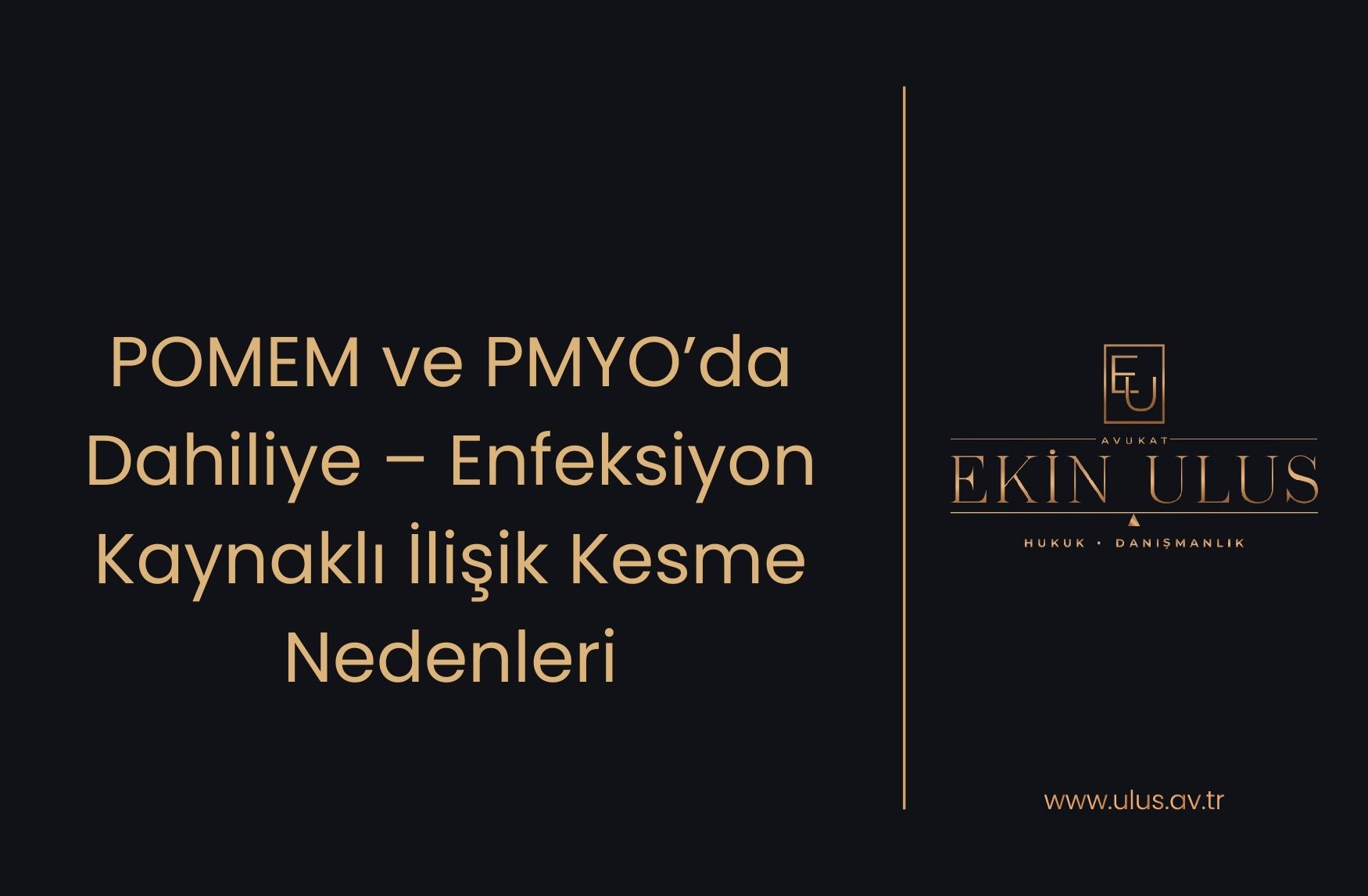 POMEM ve PMYO’da Dahiliye – Enfeksiyon Kaynaklı İlişik Kesme Nedenleri