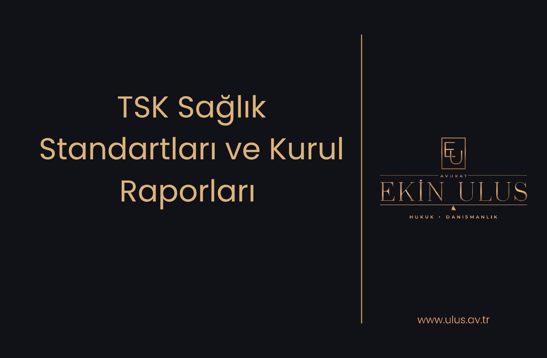 TSK Sağlık Standartları ve Kurul Raporları