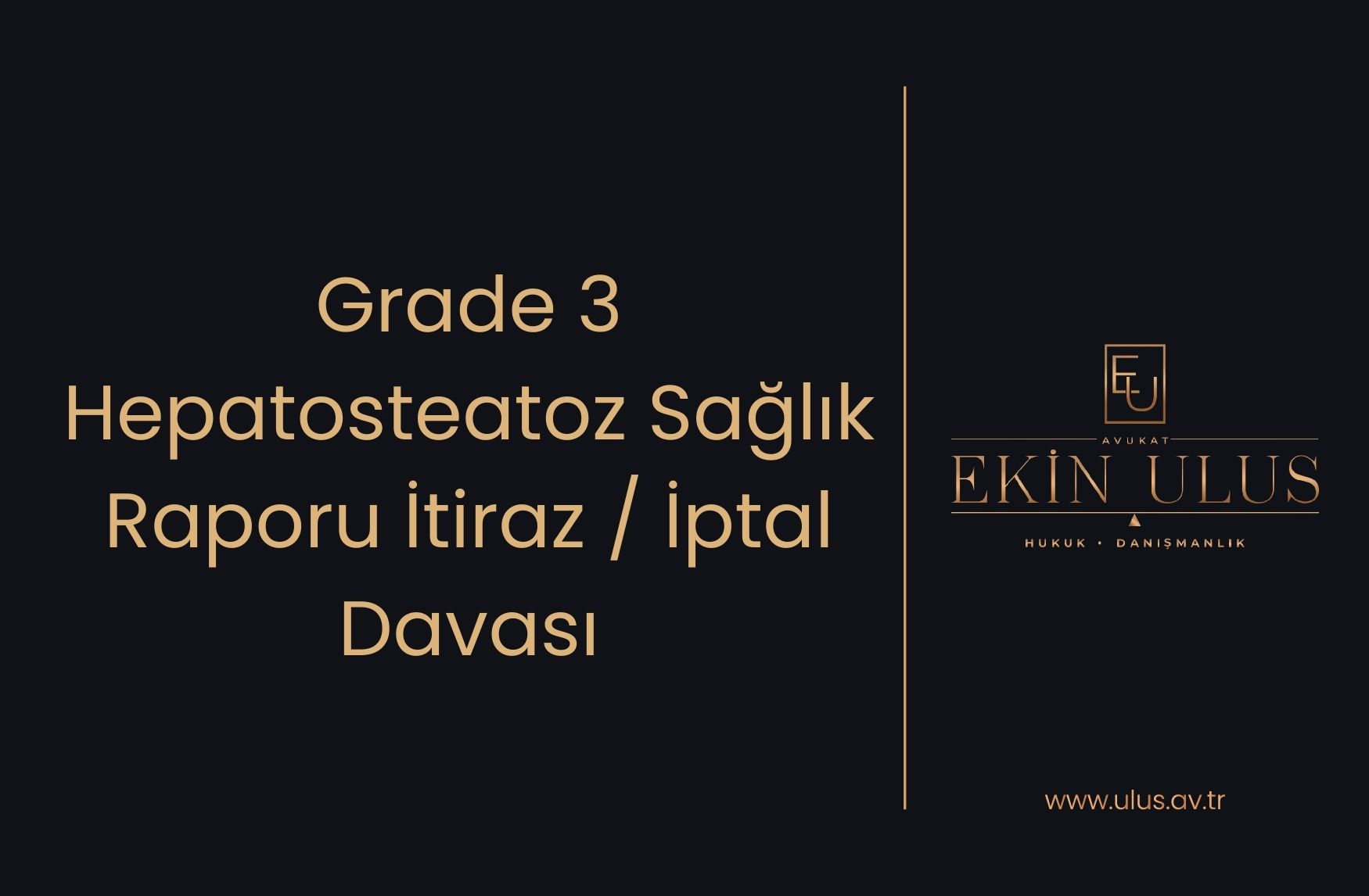 Grade 3 Hepatosteatoz Sağlık Raporu İtiraz / İptal Davası