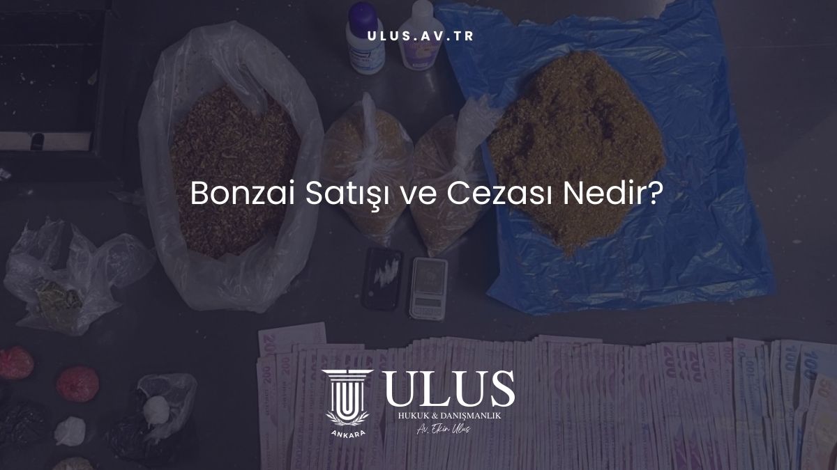 Bonzai Satışı ve Cezası Nedir?