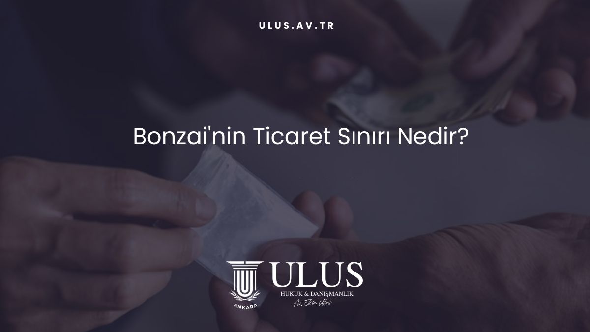 Bonzai'nin Ticaret Sınırı Nedir?